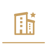 楼市动态